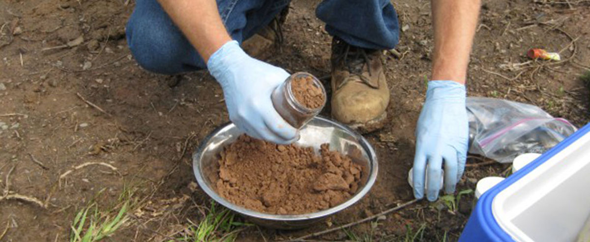 Core Soil Sample